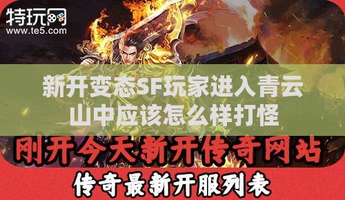 新开变态SF玩家进入青云山中应该怎么样打怪